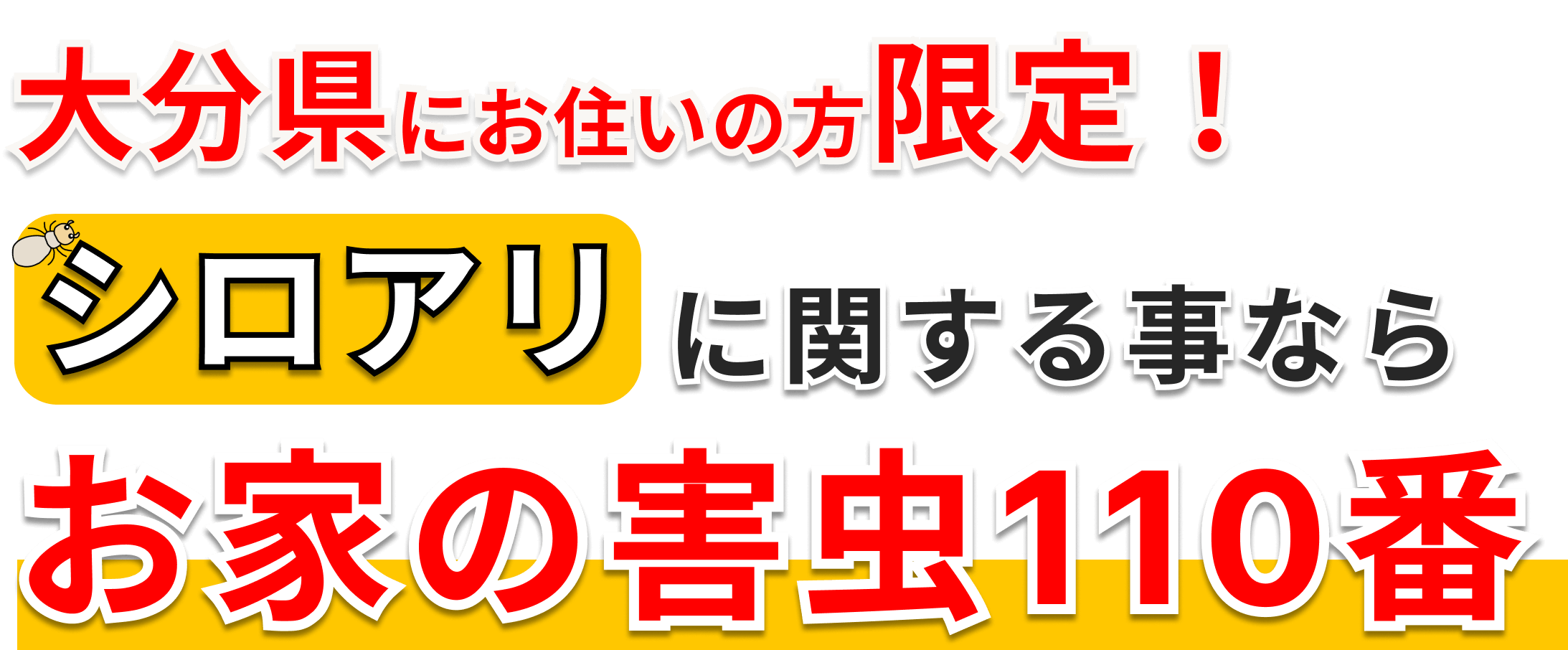 シロアリに関する事ならお家の害虫110番